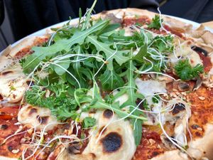 shroom pizza at Noah's Restaurant in Mainz
