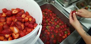 Strawberry at Gelateria Crema di Gelato in Lagos