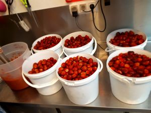 Fresh fruits sorbé at Gelateria Crema di Gelato in Lagos