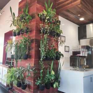 s'cute at Plant Power Fast Food in Redlands