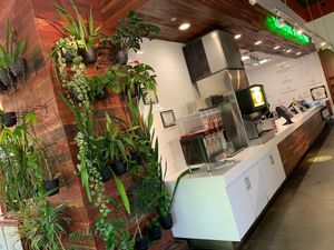  at Plant Power Fast Food in Redlands