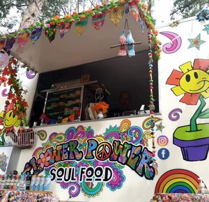 Cool fun van amazing food at Flower Power Soul Food in Melton