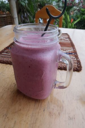 Blueberry smoothie at Cafe Madame in Puerto Lopez