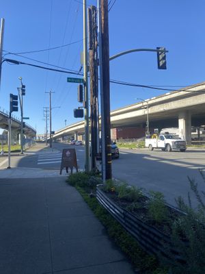 Exterior View of Street Parking Situation, It’s Bartable I believe! #Veganuary at Angel Cakes in Oakland
