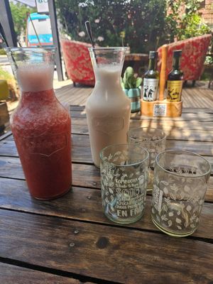 Fuimos 2.veces, por lo rico. Productos de buena calidad y frescos. Los helados también muy sabrosos. Precios acorde al sector. 😊 at La Casa Organica in Santiago