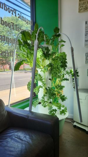  at Lulu's Empowering Goods in Lindenhurst