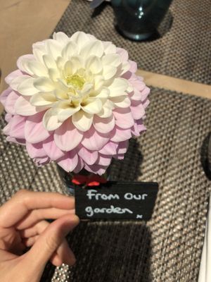 Beautiful gardens to explore at Mallory Court in Leamington Spa