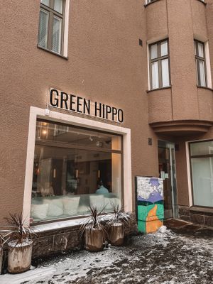   at Green Hippo in Helsinki