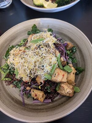 'The Trendsetter' salad (Black rice, marinated tofu, red cabbage, kale, sprouts, sugar snap peas, mayonnaise, sesame seeds and ponzu) at Green Hippo in Helsinki