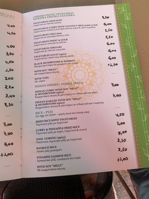 Massive vegan menu  at Asian Wok in Kos