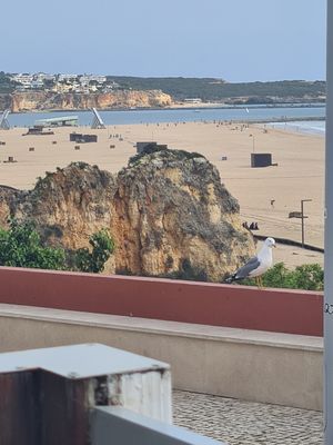View from the outdpor terrace at Safari in Portimao