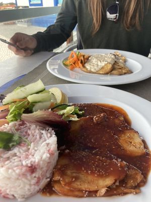 Two seitan steak dishes  at Safari in Portimao