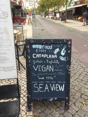 Vegan Menu no Safari - Portimão at Safari in Portimao