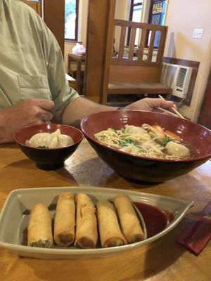 Veggie Spring Rolls and Veggie Wonton Noodle Soup. Both vegan. at Davis Noodle City in Davis