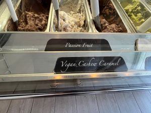Clearly marked Vegan options   at Isle of Gelato in Galle