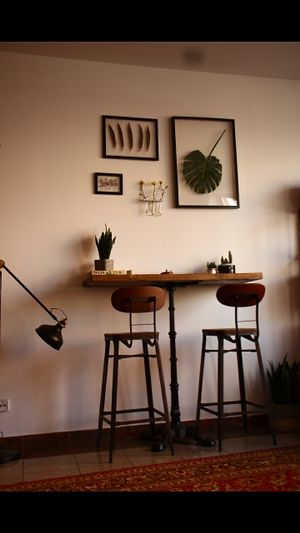 The interior at Panenská Kaviareň in Bratislava