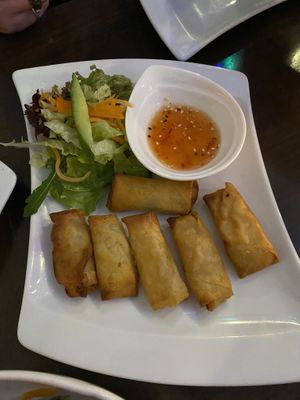 Starter at Tiger Club in Berlin