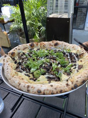 Black Magic Pizza!! Make sure you like truffle   at Pura Vita in West Hollywood