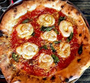 margherita pizza  at Pura Vita in West Hollywood