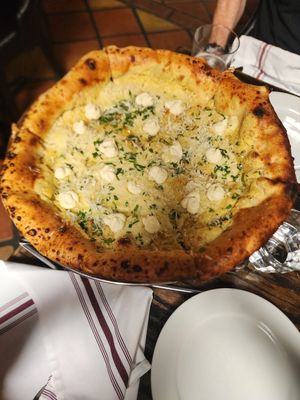 Four cheese pizza at Pura Vita in West Hollywood