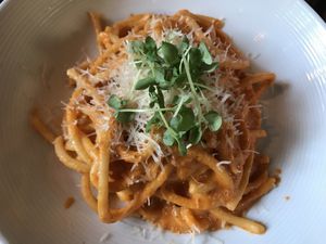 Pinci at Pura Vita in West Hollywood