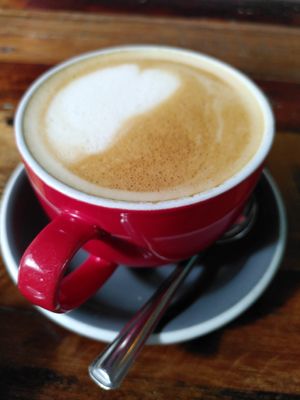 Decaf oat latte (September 2023) at Medina in Aberystwyth