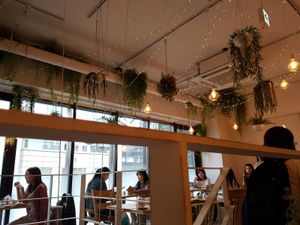 Small cafe space, bright with hanging plants. Not accessible for wheelchairs. at Botanist in Tokyo
