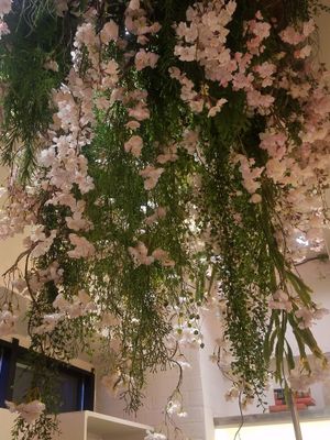 decoration on 1F at Botanist in Tokyo