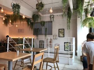 Cosy interior  at Botanist in Tokyo
