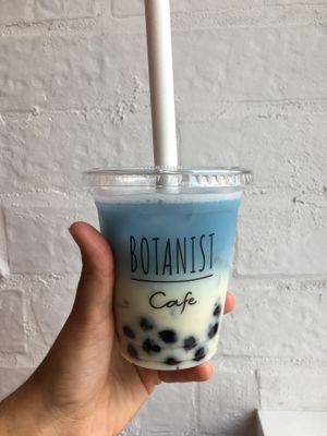 Sweet pea coconut boba tea at Botanist in Tokyo