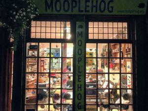 Mooplehog at night at Mooplehog in Okehampton