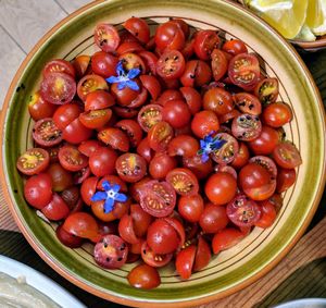 Tomato nigella at Mooplehog in Okehampton