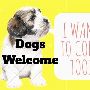 Dogs welcome at Mooplehog in Okehampton