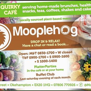 Mooplehog at Mooplehog in Okehampton