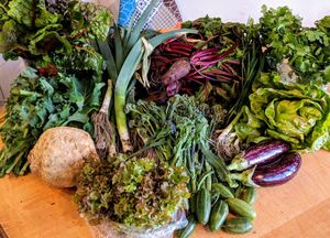 Soup? at Mooplehog in Okehampton