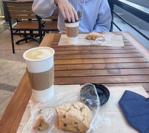   at Great Bear Coffee in Los Gatos