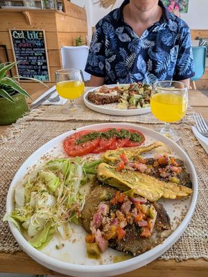 It looks like a small meal in the picture, but it was really filling! Great main course. at Happy Green Food in Saint-raphael
