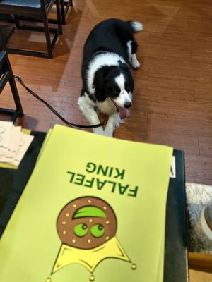  at Falafel King in Taipei