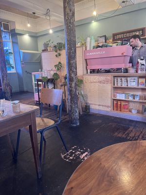 Counter   at Lovecrumbs - West Port in Edinburgh