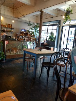 Chilled at Lovecrumbs - West Port in Edinburgh