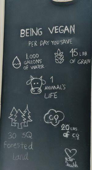 Here is the truth at Melone in Aarhus