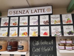 all the vegan flavours! at Gelateria Gnam Gnam in Padua