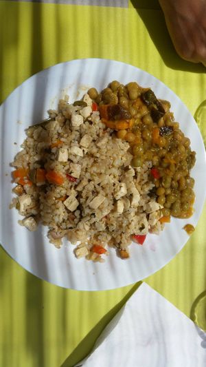 dish of the day at Semente Centro Macrobiótico de Braga in Braga