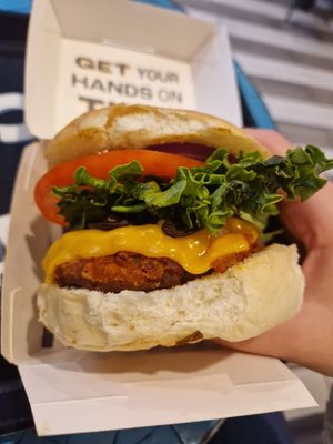 The BCB at Beatnic - Back Bay in Boston