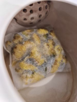 Chrysanthemum Tea  ~5/11/22 at Yes Natural Restaurant 悦意坊 in Central Singapore