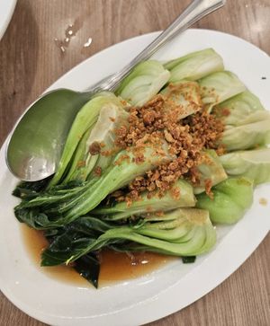 Saute Veg ~ 1/4/24 at Yes Natural Restaurant 悦意坊 in Central Singapore