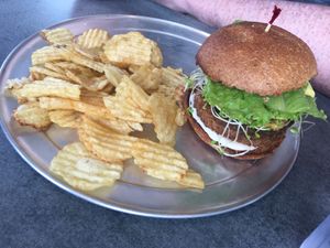 Classic Vibe Burger  at Vibe in Hilo