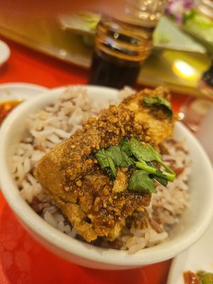 Nice!!!' ~ 5/9/23 at Eight Treasures Vegetarian 八宝素食馆 in Central Singapore