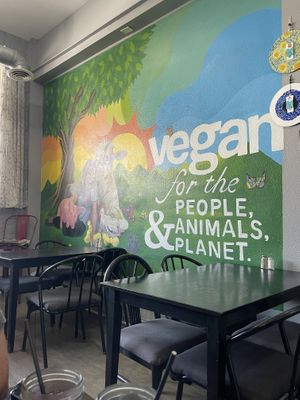 Vibe  at Leaf and Seed in Toledo