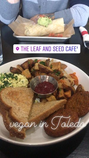 Tofu scramble plate and burrito  at Leaf and Seed in Toledo